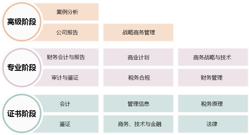 ACA 英格兰及威尔士特许会计师